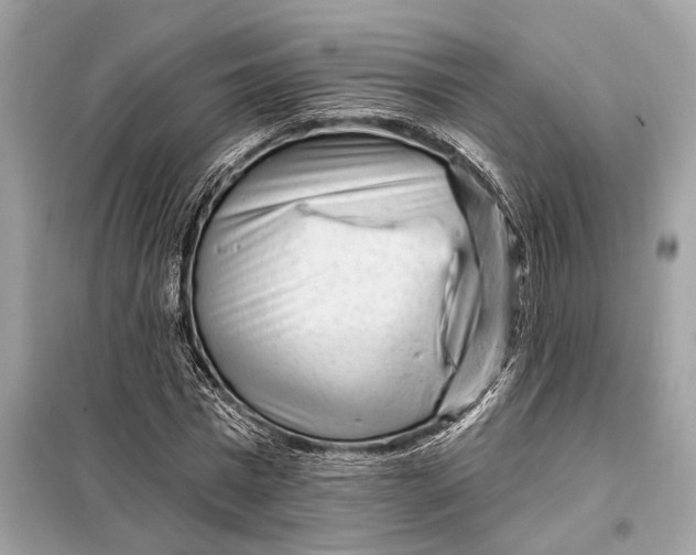 X0000098170777200805081000