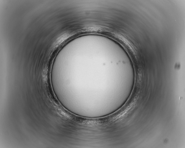 X0000098170778200805081000