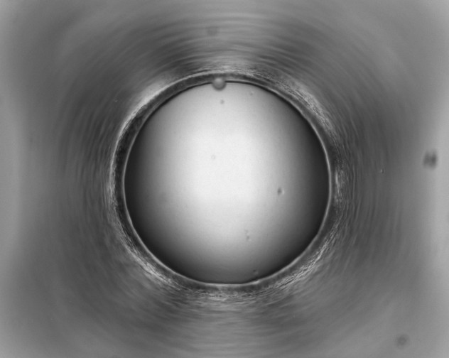 X0000098170780200805081000