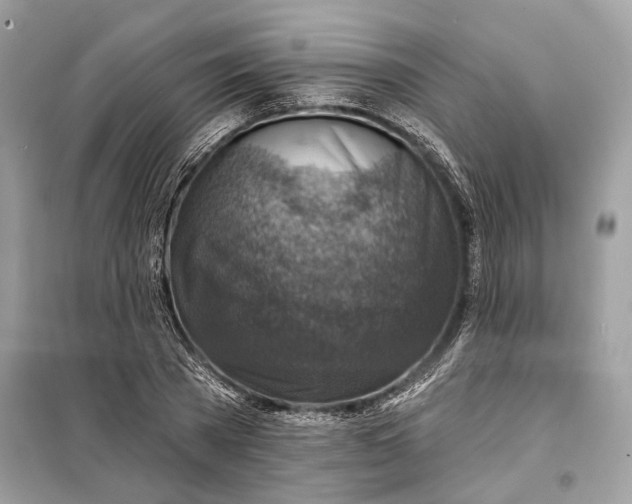 X0000098170785200805081000