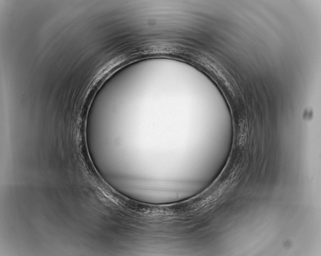 X0000098170786200805081000