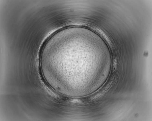 X0000098170787200805081000