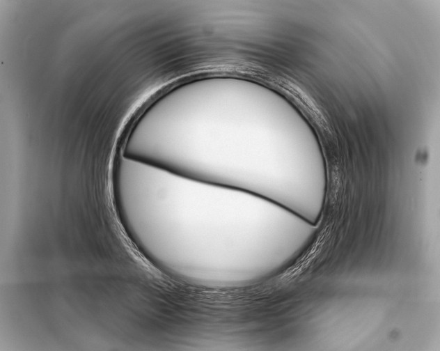 X0000098170788200805081000