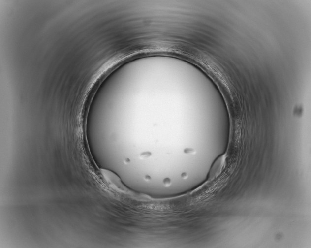 X0000098170789200805081000