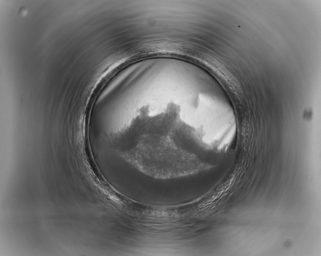 X0000098170790200805081000