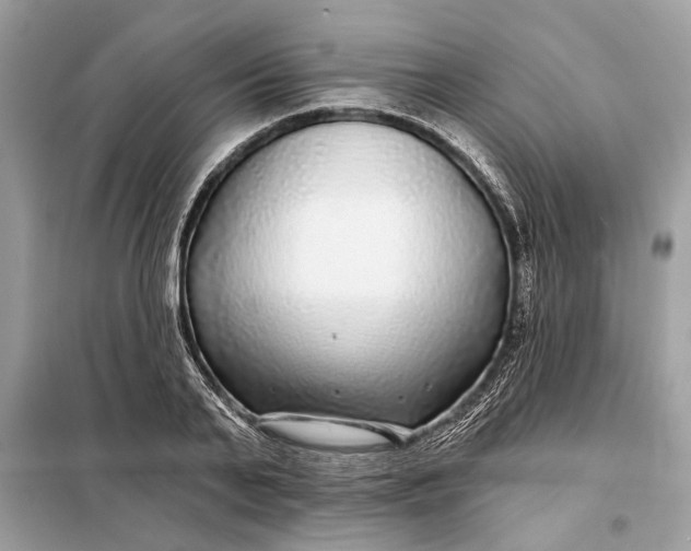 X0000098170791200805081000