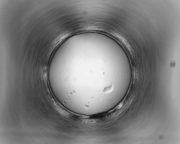 X0000098170793200805081000