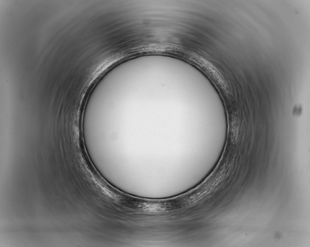 X0000098170794200805081000