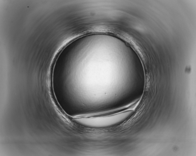 X0000098170795200805081000