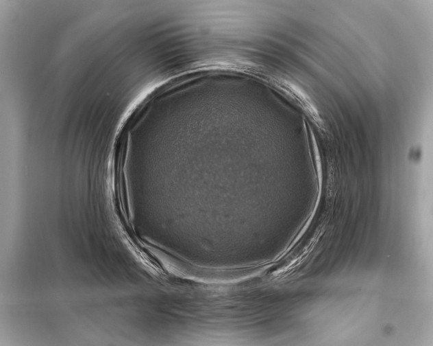 X0000098170796200805081000