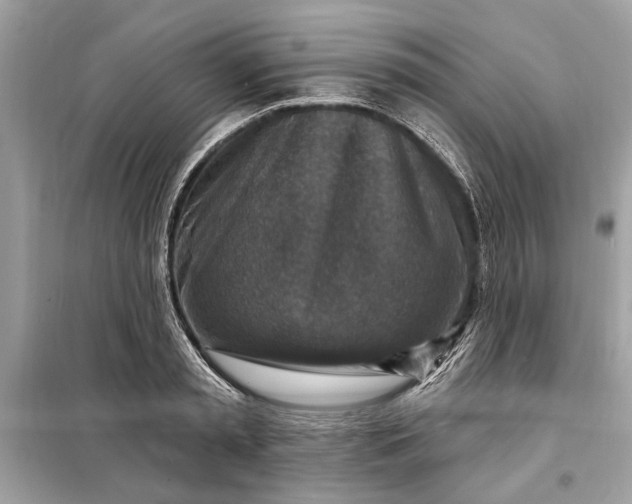 X0000098170797200805081000