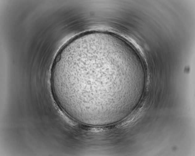 X0000098170799200805081000