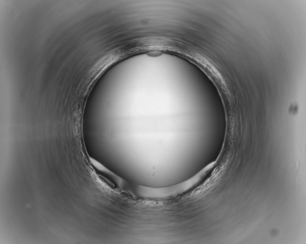 X0000098170801200805081000