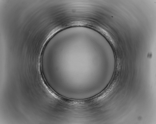 X0000098170802200805081000