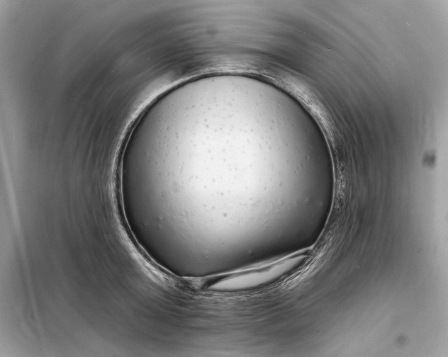 X0000098170803200805081000