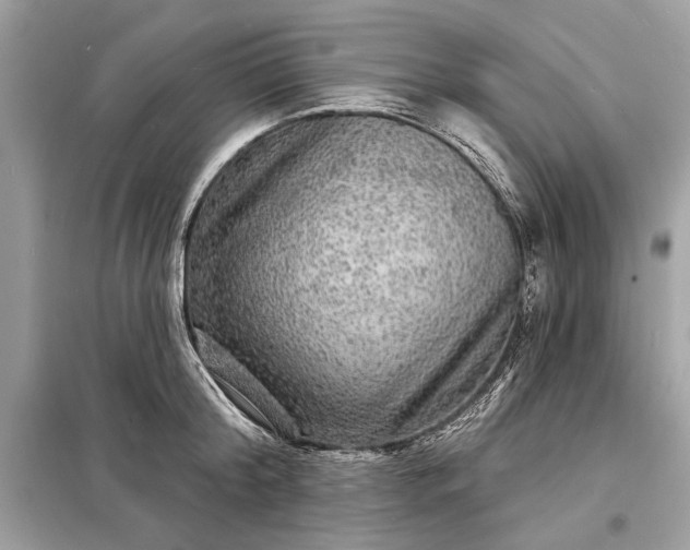 X0000098170804200805081000