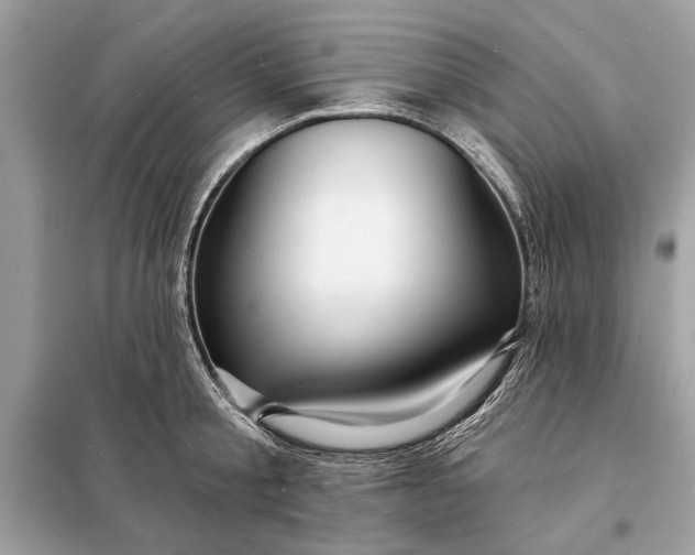 X0000098170805200805081000