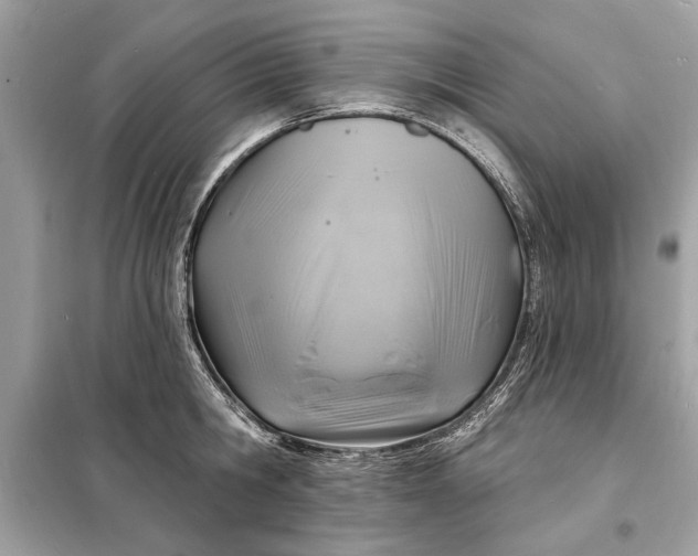 X0000098170806200805081000