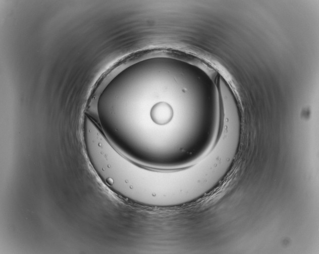 X0000098170807200805081000