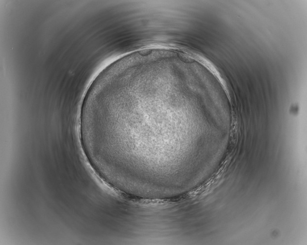 X0000098170811200805080959