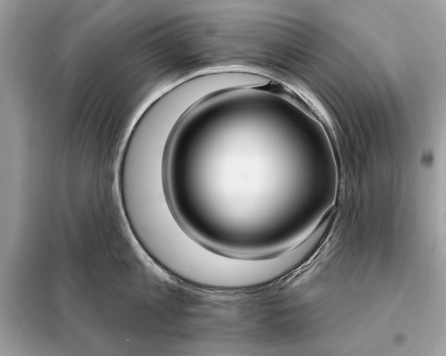 X0000098170813200805080959