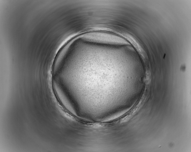 X0000098170814200805080959