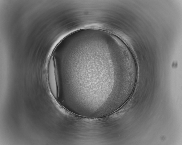 X0000098170816200805080959