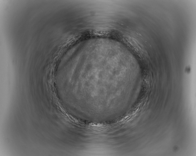 X0000098170817200805080959