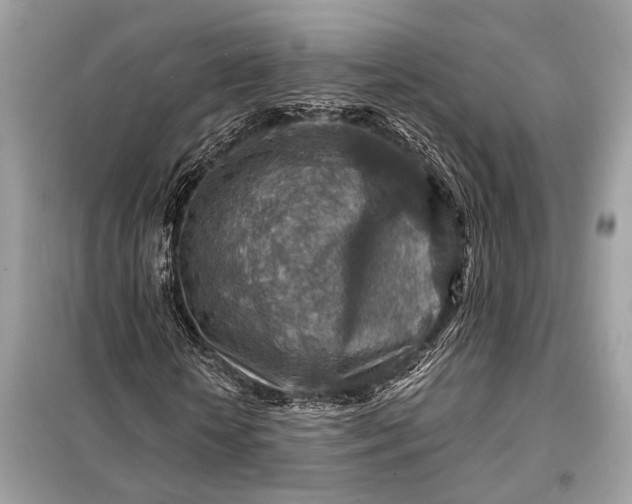 X0000098170818200805080959