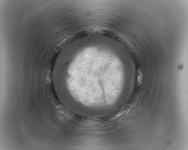 X0000098170819200805080959