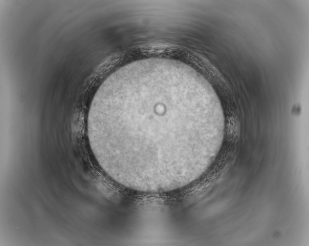 X0000098170820200805080959