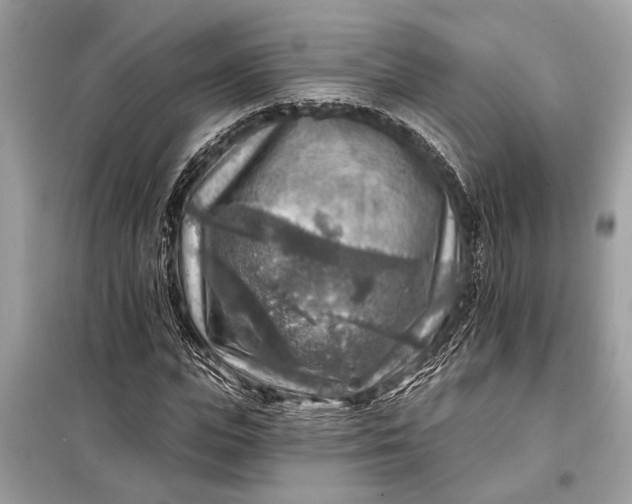 X0000098170823200805080959