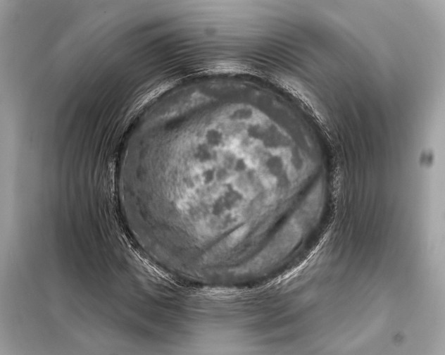 X0000098170825200805080959