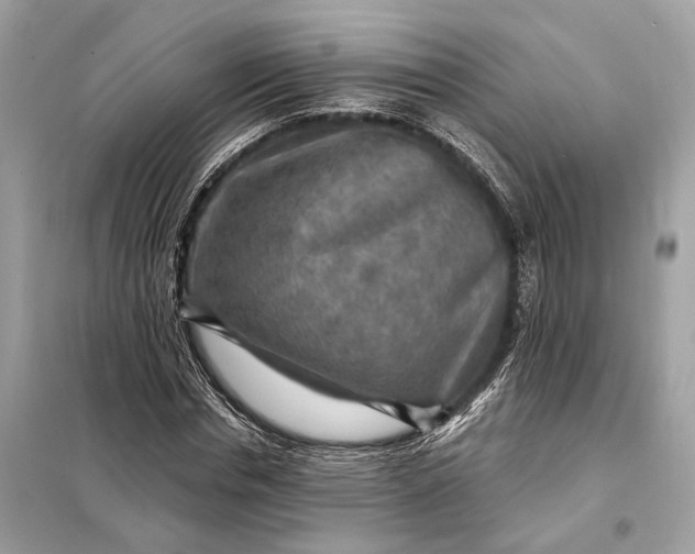 X0000098170826200805080959