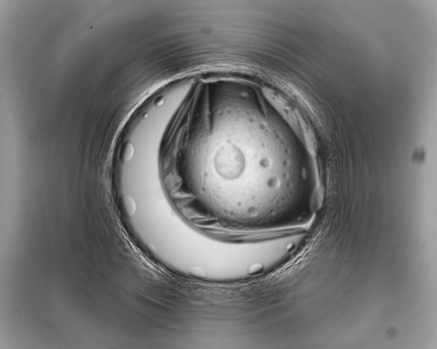 X0000098170828200805080959