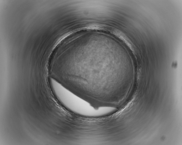 X0000098170829200805080959