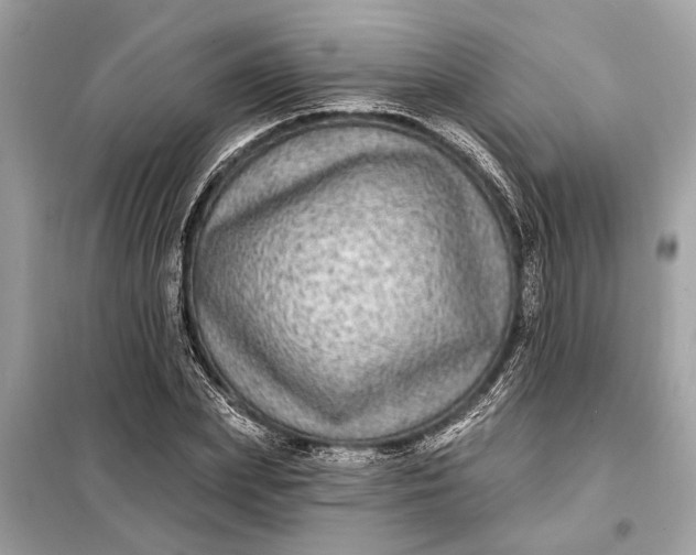 X0000098170831200805080959