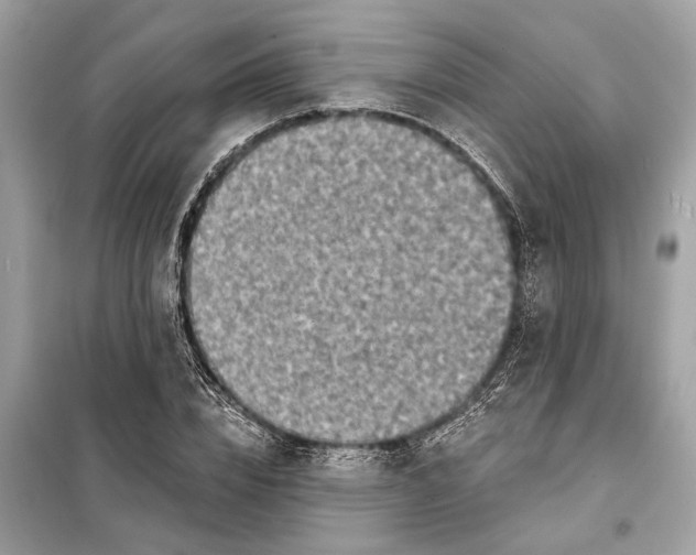 X0000098170832200805080959