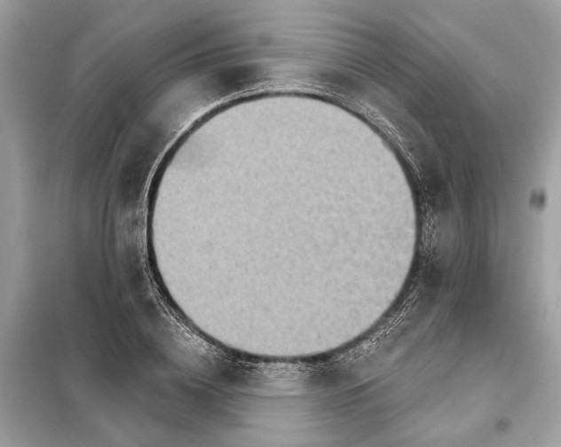 X0000098170836200805080959