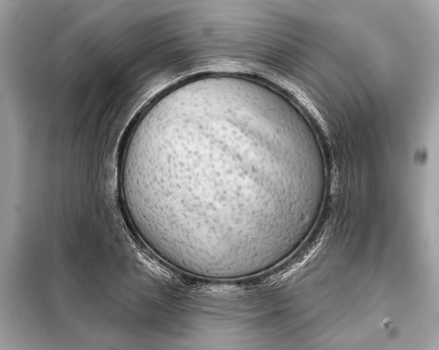 X0000098170837200805080959