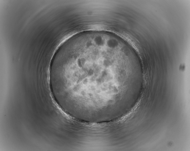 X0000098170839200805080959