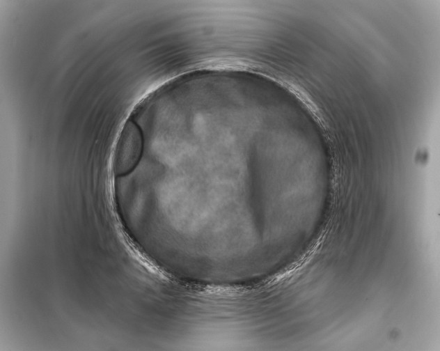 X0000098170840200805080959