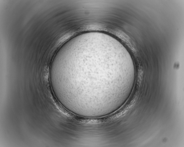 X0000098170841200805080959