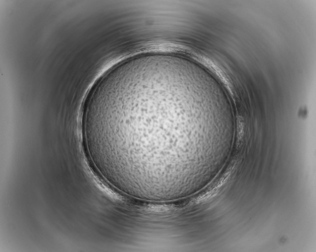 X0000098170843200805080959