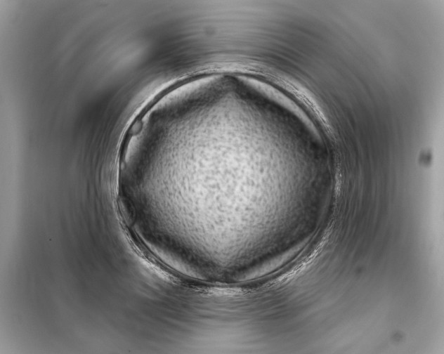 X0000098170844200805080959