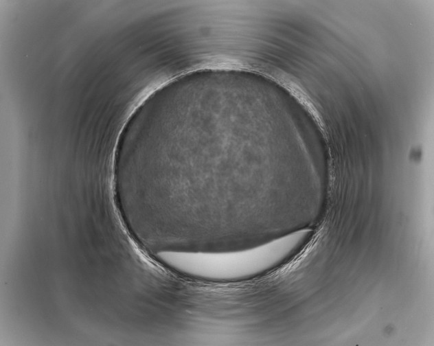 X0000098170845200805080959