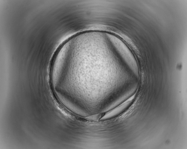 X0000098170846200805080959