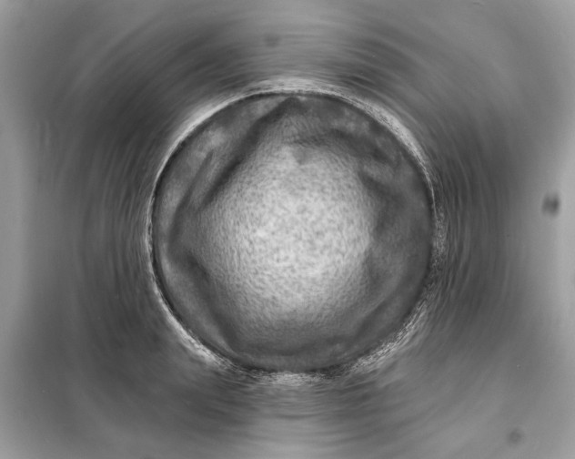 X0000098170847200805080959