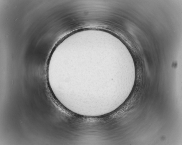 X0000098170848200805080959