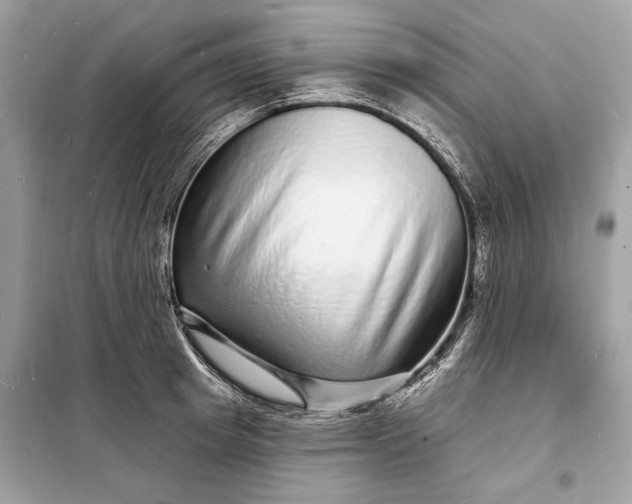 X0000098170849200805080959